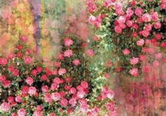 Digital Print Silk Shawl Manufacturer China