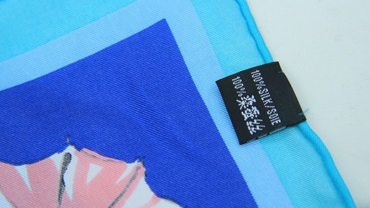 Back Translucent Silk Scarf